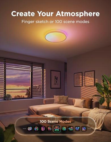 Smart Ceiling Light Pro