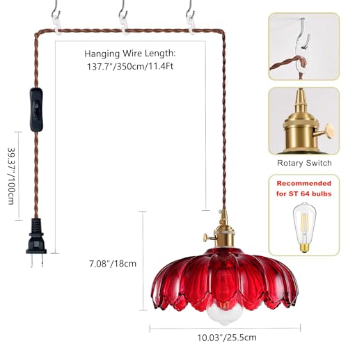 Plug in Pendant Light