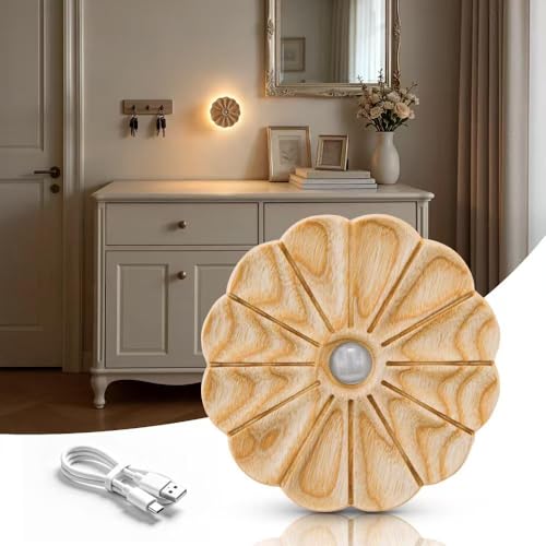 Rechargeable Motion Sensor Light Indoor