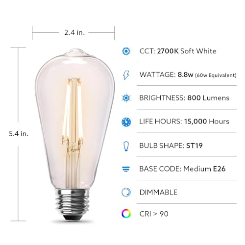 ST19 Vintage Edison LED Light Bulb (2 Count)