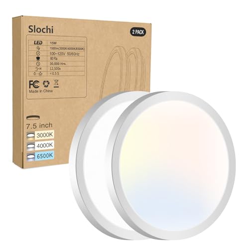 2PACK LED Flush Mount Ceiling Light Fixture (2 Count)