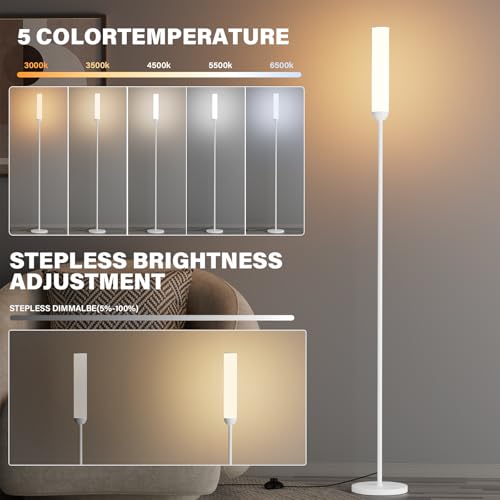 LED Floor Lamp with Remote Control