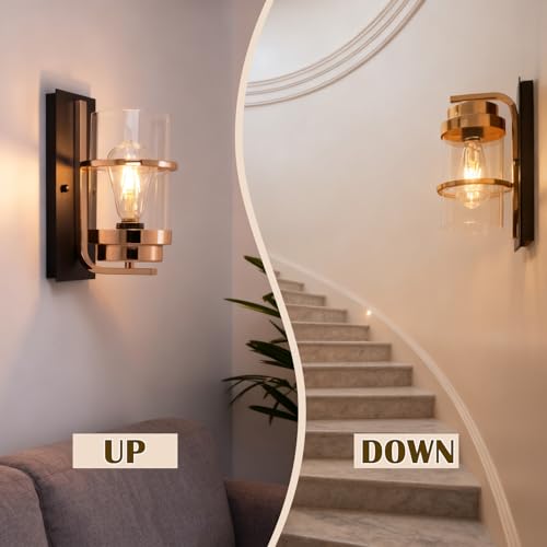Rose Gold and Black Wall Sconce