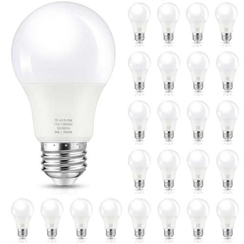 A19 LED Light Bulbs (24 Count)