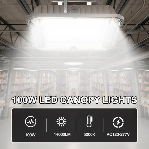 LED Canopy Lights (4 Count)