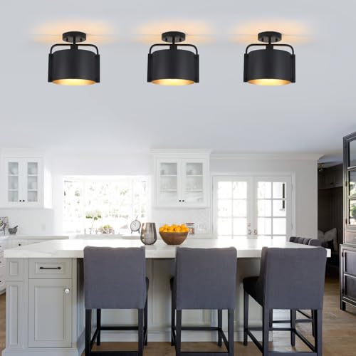 Flush Mount Ceiling Light