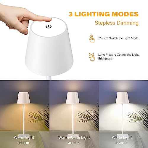 2 Pack Cordless Table Lamps (2 Count)