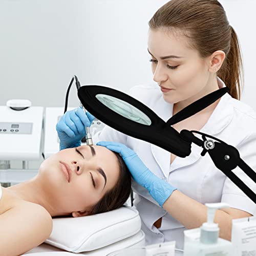 Bifocal LED Magnifying Lamp with Clamp