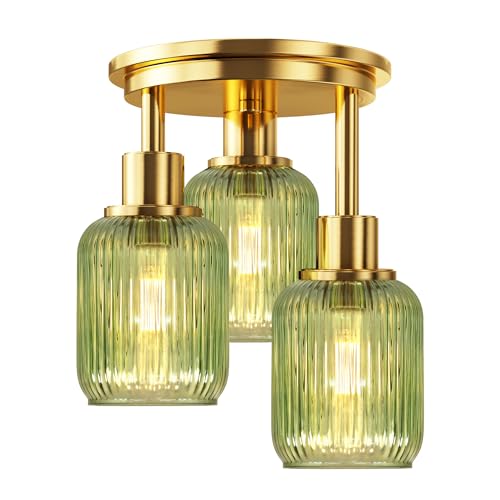 Semi Flush Mount Ceiling Light