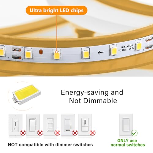 Modern LED Ceiling Light