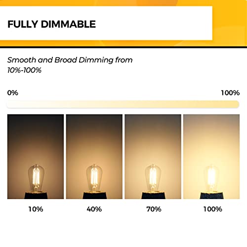 Edison Bulbs Dimmable (12 Count)