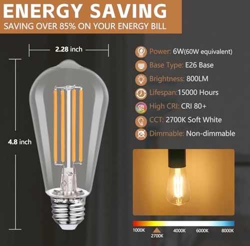 12Pack Vintage LED Edison Bulbs (12 Count)