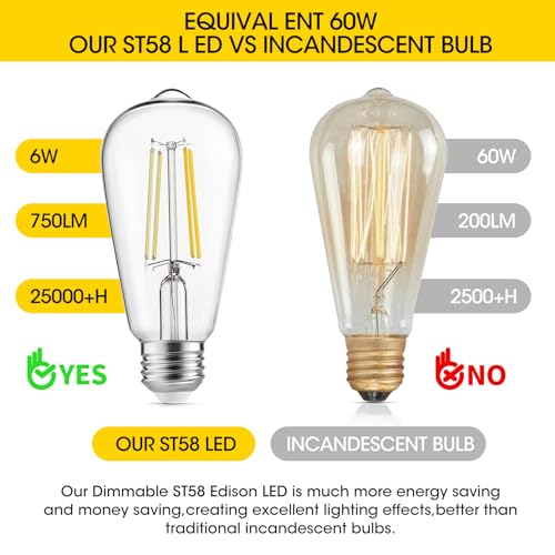 Edison Light Bulbs 60W Equivalent (8 Count)