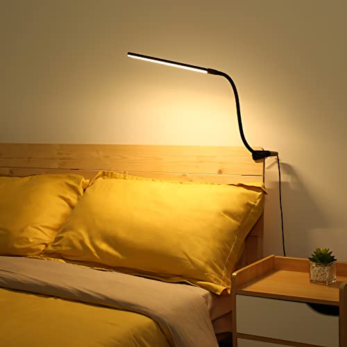 Clip on Desk Lamp