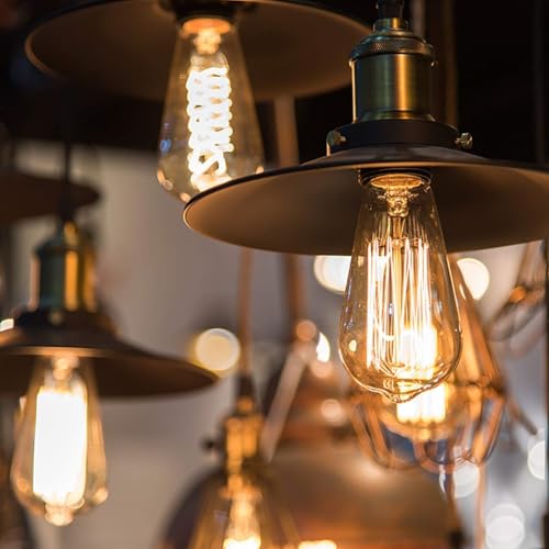 8 Pack Edison Bulbs (8 Count)