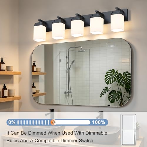 Matte Black Bathroom Light Fixtures