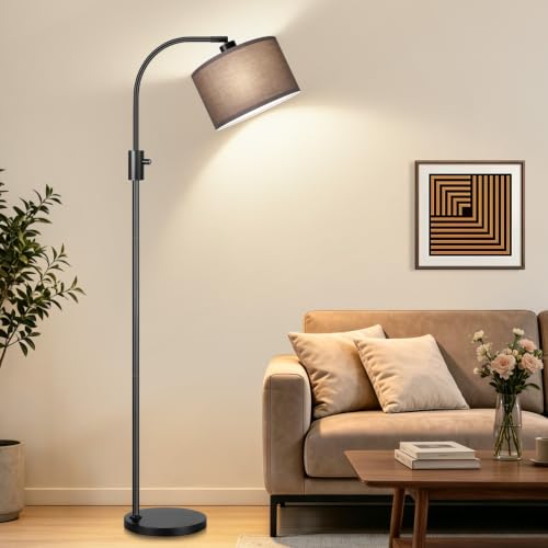 Dimmable Black Floor Lamp