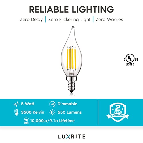 Vintage Candelabra LED Bulb 60W Equivalent (24 Count)
