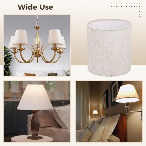 6PCS Chandelier Lamp Shades (6 Count)