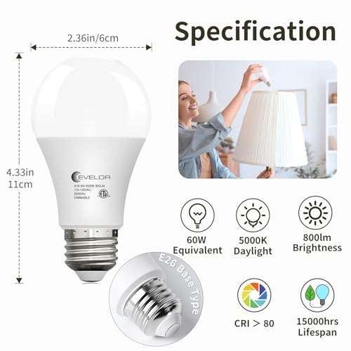 6 Pack LED Light Bulbs (6 Count)