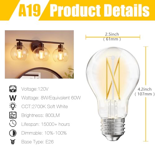 24 Pack A19 Vintage LED Edison Bulbs (24 Count)