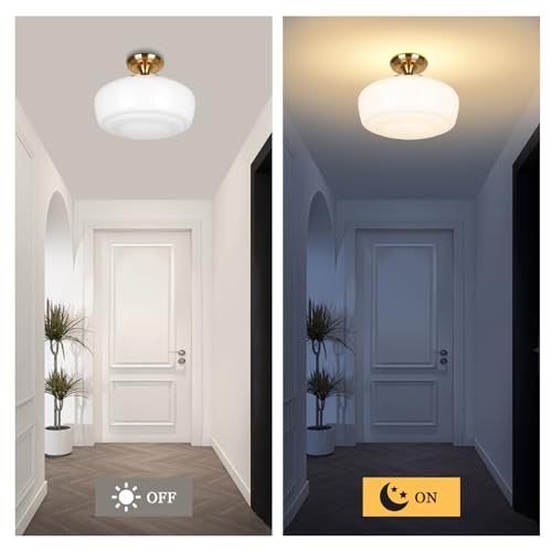 Large Schoolhouse Style Semi Flush Mount Ceiling Light Fixture