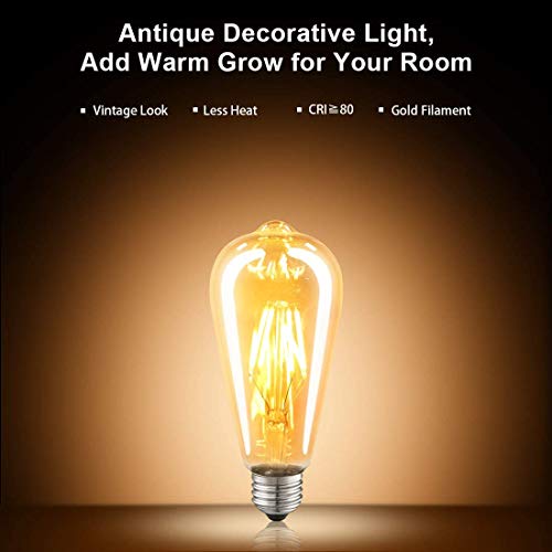 LED Edison Bulbs