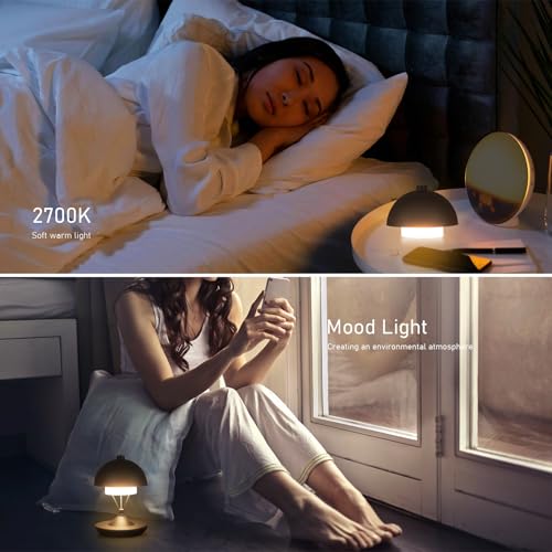 Modern Table Lamp Cordless Portable Desk Lamp