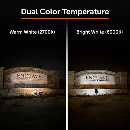 Dual Color Solar Flood Light