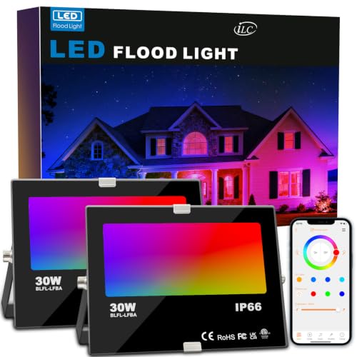 LED Flood Light 80W (2 Count)