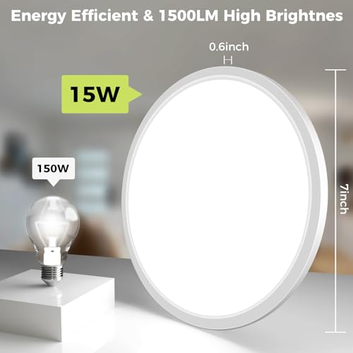 2Pack LED Flush Mount Ceiling Light Fixture (2 Count)