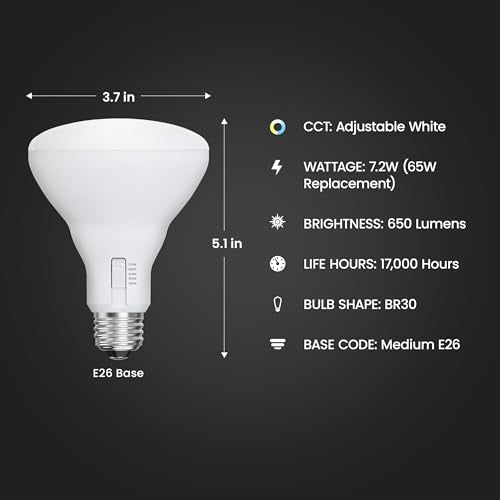 BR30 LED Light Bulbs (6 Count)