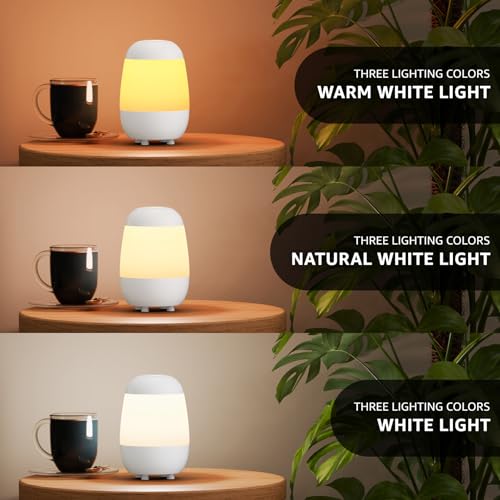 2 Pack Rechargeable Small Night Light Touch Dimmable Cordless Lamp (2 Count)