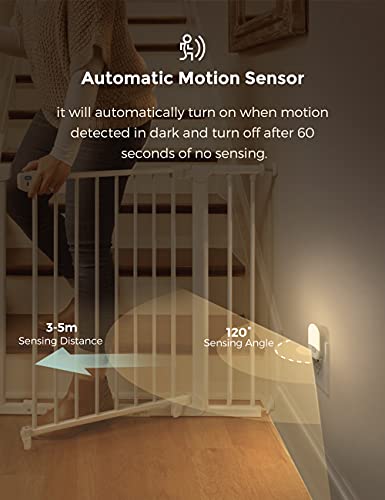 Motion Sensor Night Light (2 Count)