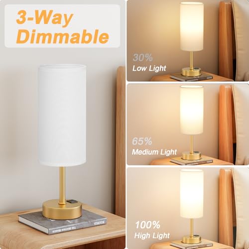 Touch Bedside Lamps for Nightstand