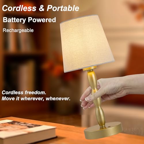 Rechargeable Cordless Table Lamp