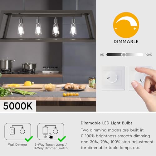 Edison Bulbs E26 LED Bulb 60 Watt Equivalent