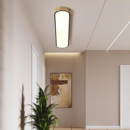 4FT LED Light Fixture 60W Dimmable Led Ceiling Light Black and Gold Flush Mount Ceiling Light Modern Light Fixtures Ceiling for Kitchen Closet Garage Office Hallway