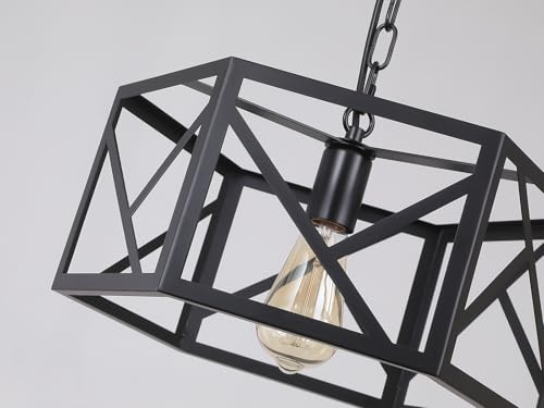 Rustic Farmhouse Plug in Pendant Light Fixture with Adjustable Chain