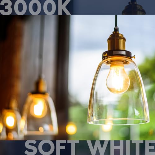 Vintage A19 LED Light Bulbs 60W Equivalent (4 Count)