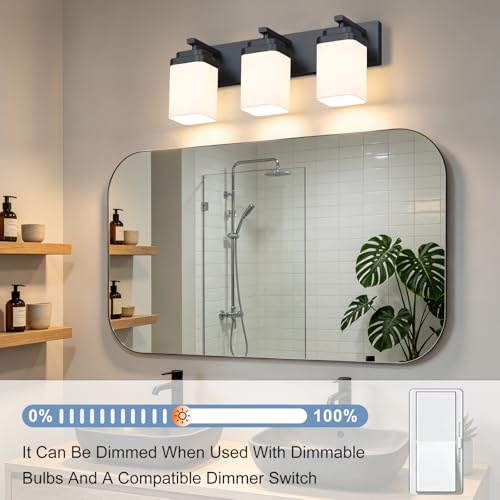 Matte Black Bathroom Light Fixtures
