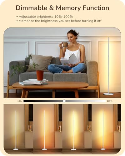 LED Corner Floor Lamp