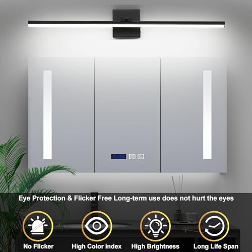 LED Bathroom Vanity Light