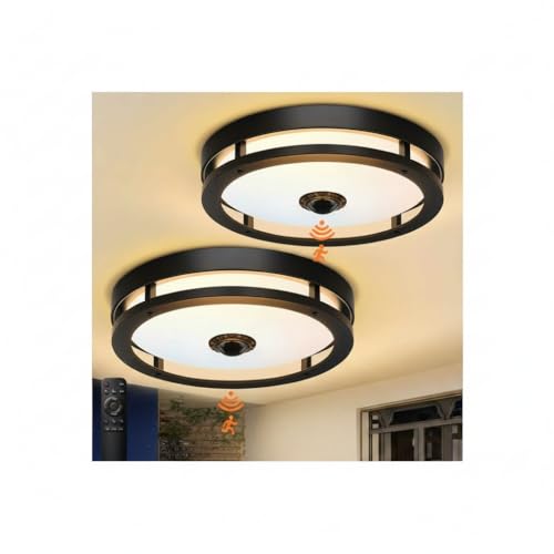 Outdoor Motion Sensor Ceiling Light with Remote