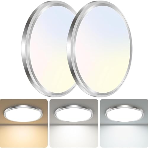2Pack LED Ceiling Light Fixture (2 Count)