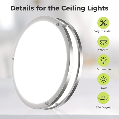 2 Pack Flush Mount Ceiling Light Fixture (2 Count)