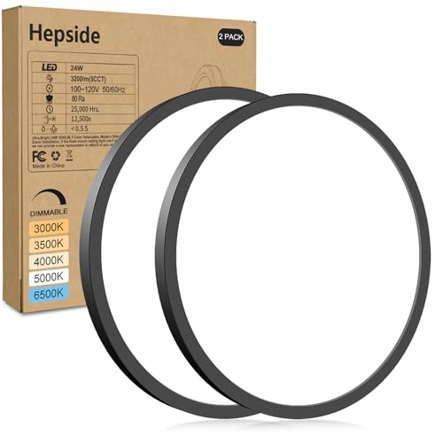 2Pack LED Flush Mount Ceiling Light Fixture (2 Count)