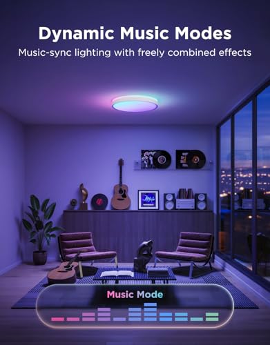 Smart Ceiling Light Pro