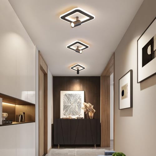 Modern LED Ceiling Lights with 1 spotlights 9.8Inch Black Ceiling Lights with Remote Control Dimmable