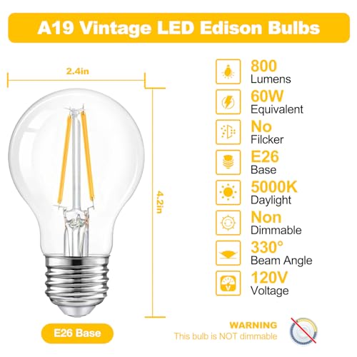 A19 Vintage LED Edison Bulbs (12 Count)